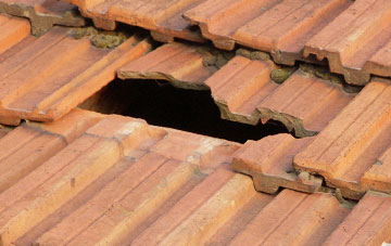 roof repair Bushfield, Cumbria