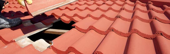 compare Bushfield roof repair quotes